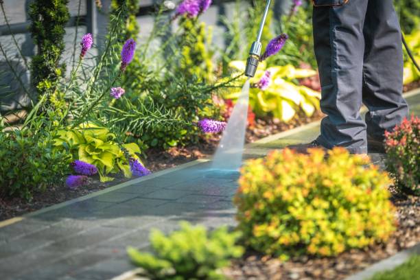 Best Restaurant Pressure Washing  in Mantua, VA